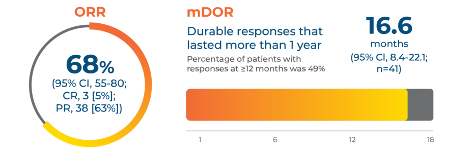 68% overall response rate and 16.6 months median duration of response in treatment-naive patients