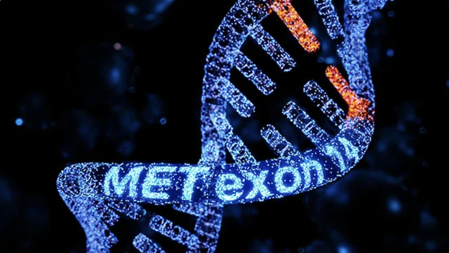 METex14 mutation